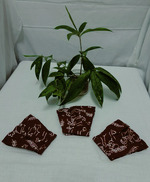 Masker Batik