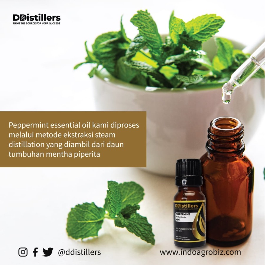 Peppermint / Peppermint Essential Oil 100% Pure