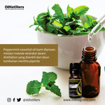 Peppermint / Peppermint Essential Oil 100% Pure
