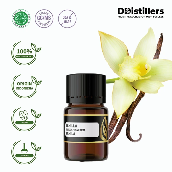 Absolut Vanili / Vanilla Absolute Essential Oil Pure 100 % (2 ml)