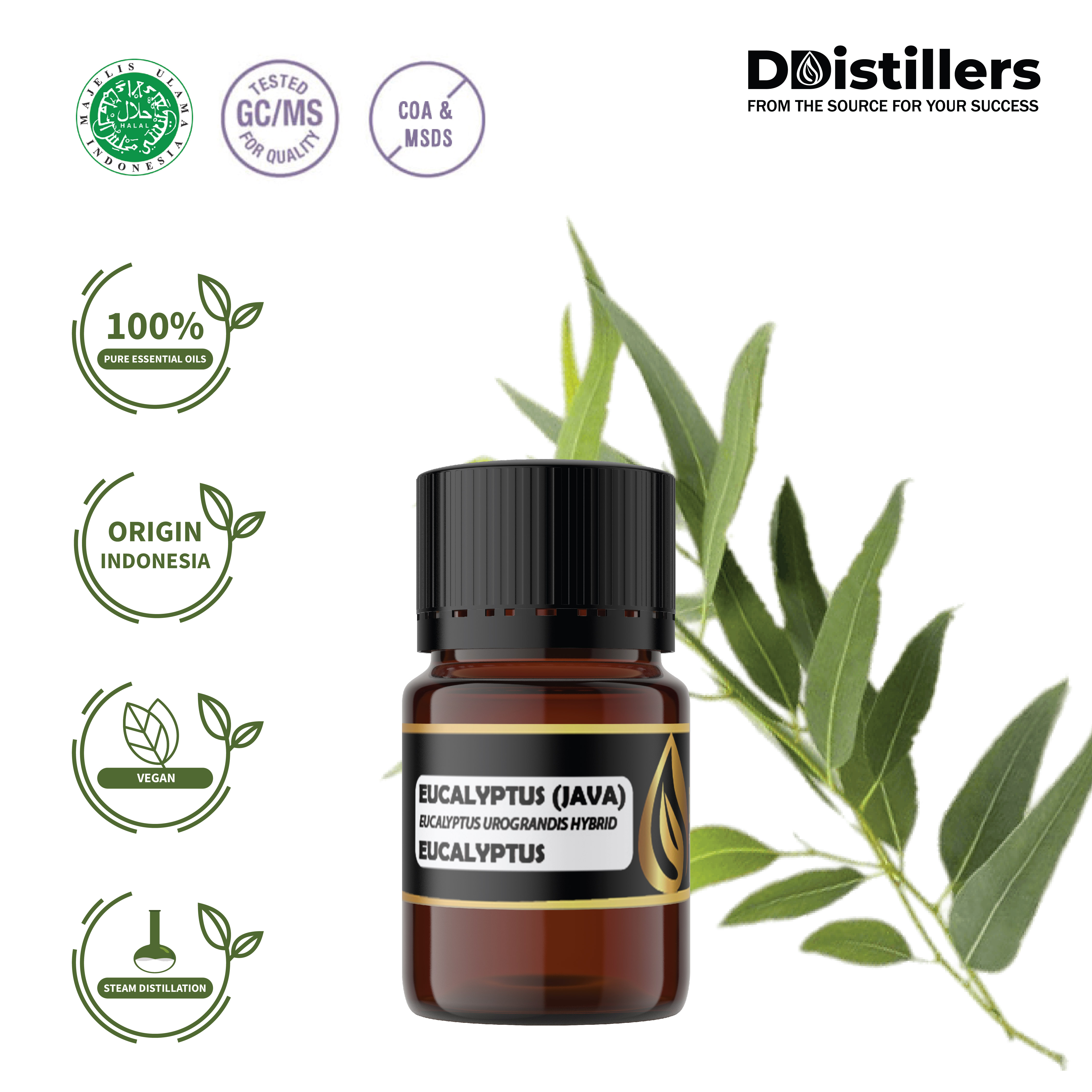 Minyak Eukaliptus / Eucalyptus (Java) Essential Oil 100% Pure (5 ml)