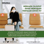Minyak Atsiri Kayu Putih / Cajuput Essential Oil 100% Pure (500 ml)