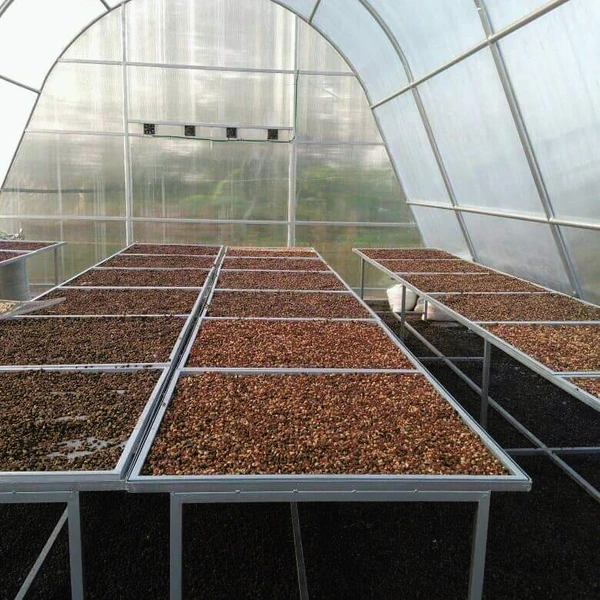 Abdan Coffee Bengkulu