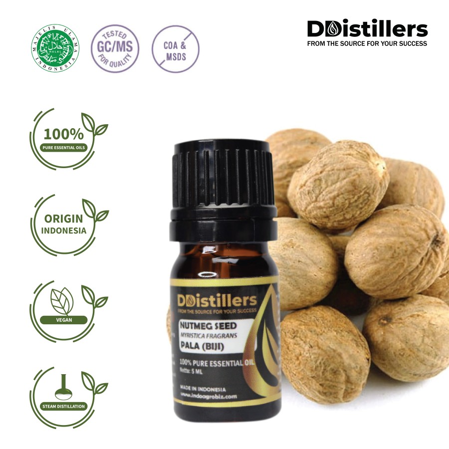 Minyak Atsiri Biji Pala / Nutmeg Seed Essential Oil 100% Pure