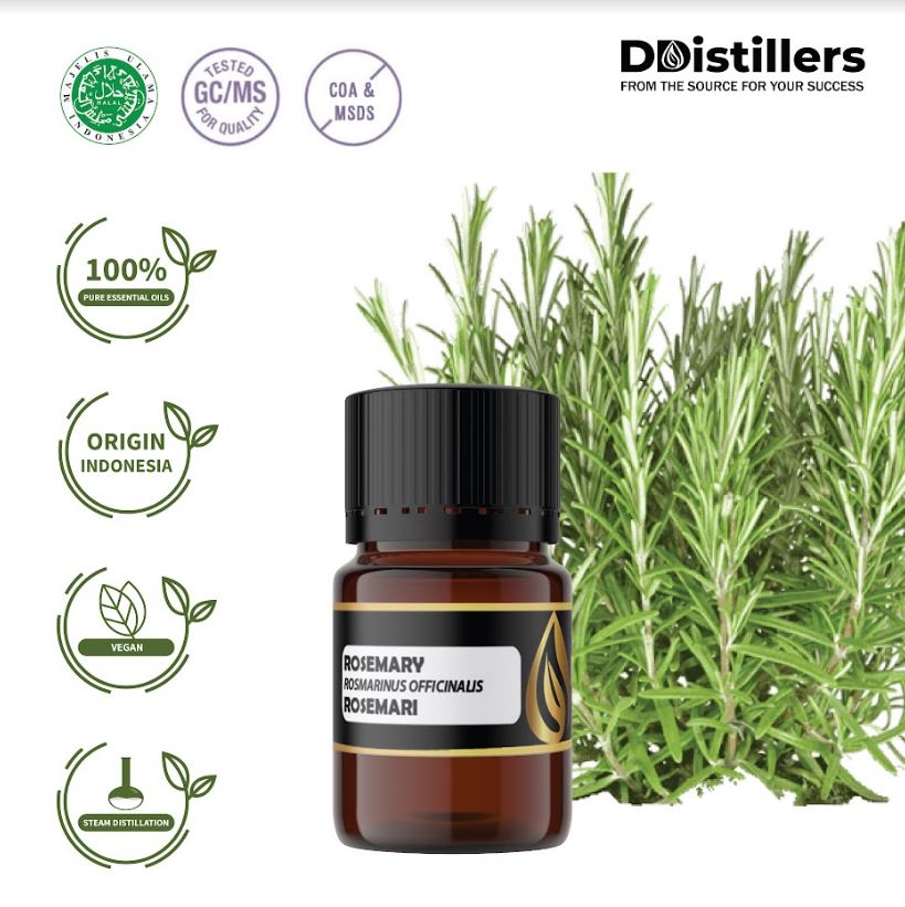 Rosemari / Rosemary Essential Oil 100% Pure