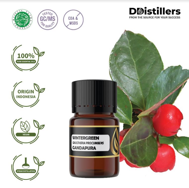 Minyak Atsiri Gandapura / Wintergreen Essential Oil 100% Pure