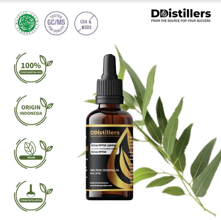 Minyak Eukaliptus / Eucalyptus (Java) Essential Oil 100% Pure