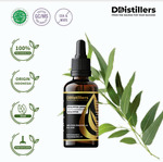 Minyak Eukaliptus / Eucalyptus (Java) Essential Oil 100% Pure