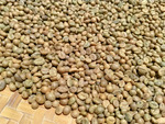 KOPI ROBUSTA BUBUK