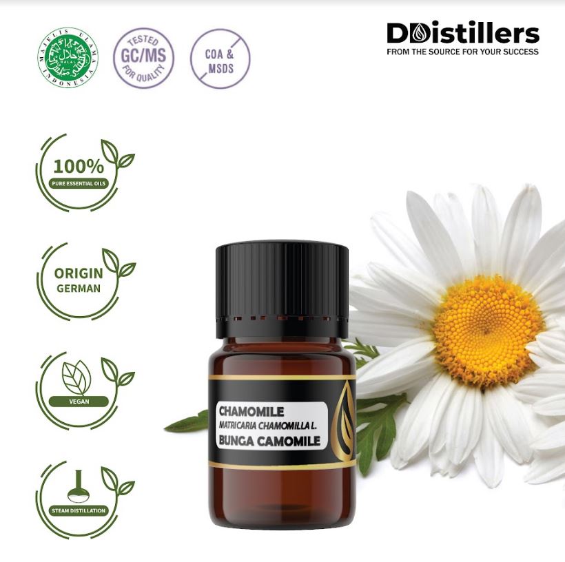 Bunga Camomile / Chamomile Essential Oil 100% Pure (2-10 ml)