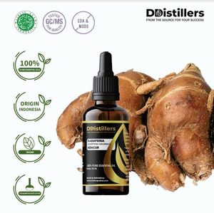 Kencur / Kaemferia Essential Oil 100% Pure (50-500 ml)
