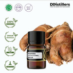 Kencur / Kaemferia Essential Oil 100% Pure (2-10 ml)