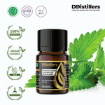 Patchouli (Sulawesi) / Nilam (Sulawesi) Essential Oil Pure 100%, 2-10ML GS