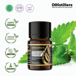 Patchouli (Sulawesi) / Nilam (Sulawesi) Essential Oil Pure 100%, 2-10ML GS