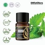 Patchouli (Sulawesi) / Nilam (Sulawesi) Essential Oil Pure 100%, 2-10ML GS
