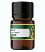 Zaitun / Olive Carrier Oil Pure 100% (2 ml)