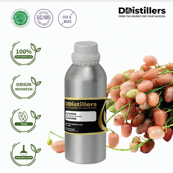 Minyak Atsiri Klausena / Clausena Essential Oil 100 % Pure (1-2 L)