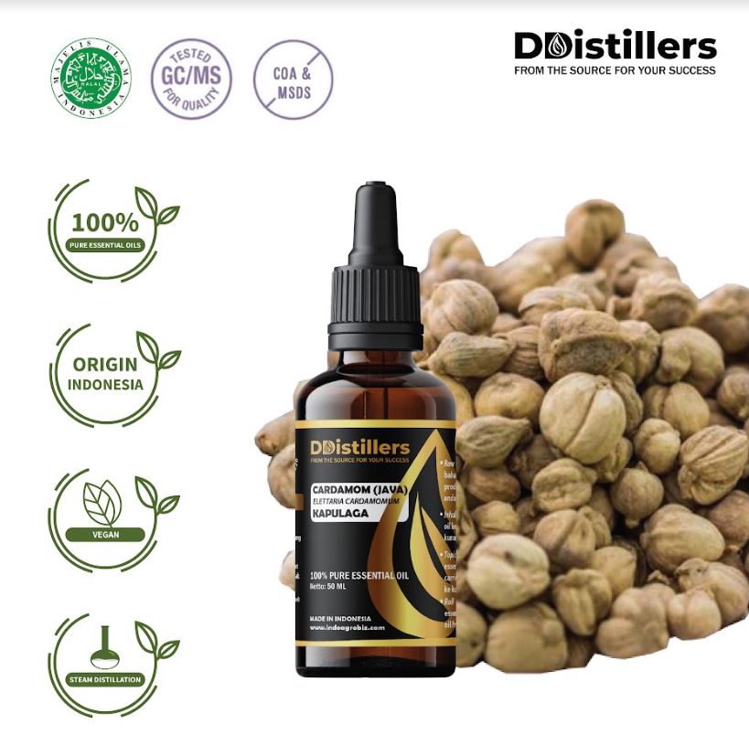 Minyak Kapulaga / Cardamom Java Essential Oil 100% Pure (50-100 ml)