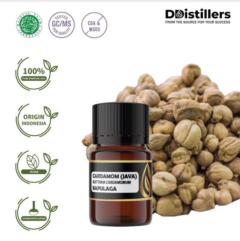 Minyak Kapulaga / Cardamom Java Essential Oil 100% Pure (2-10 ml)