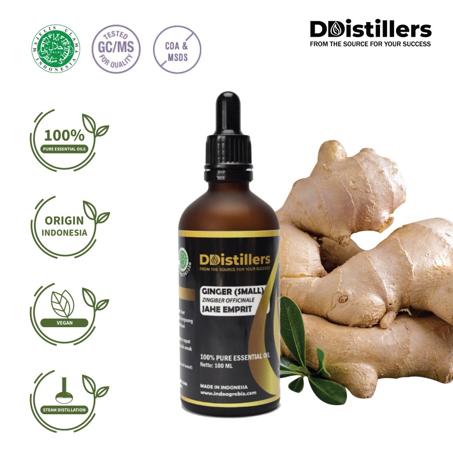 Jahe Emprit / Ginger (Small) Essential Oil 100 % Pure (5-500 ml)