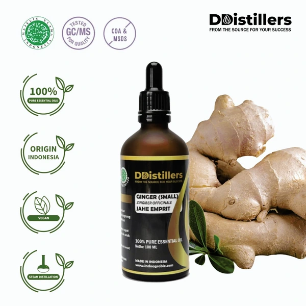 Jahe Emprit / Ginger (Small) Essential Oil 100 % Pure (5-500 ml)
