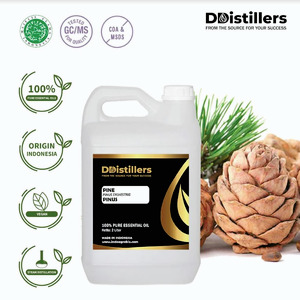Minyak Atsiri Pinus / Pine Essential Oil 100 % Pure (2 L)