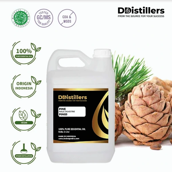 Minyak Atsiri Pinus / Pine Essential Oil 100 % Pure (2 L)
