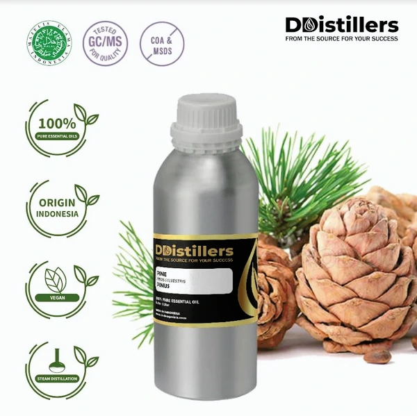 Minyak Atsiri Pinus / Pine Essential Oil 100 % Pure (1 L SS EXP)