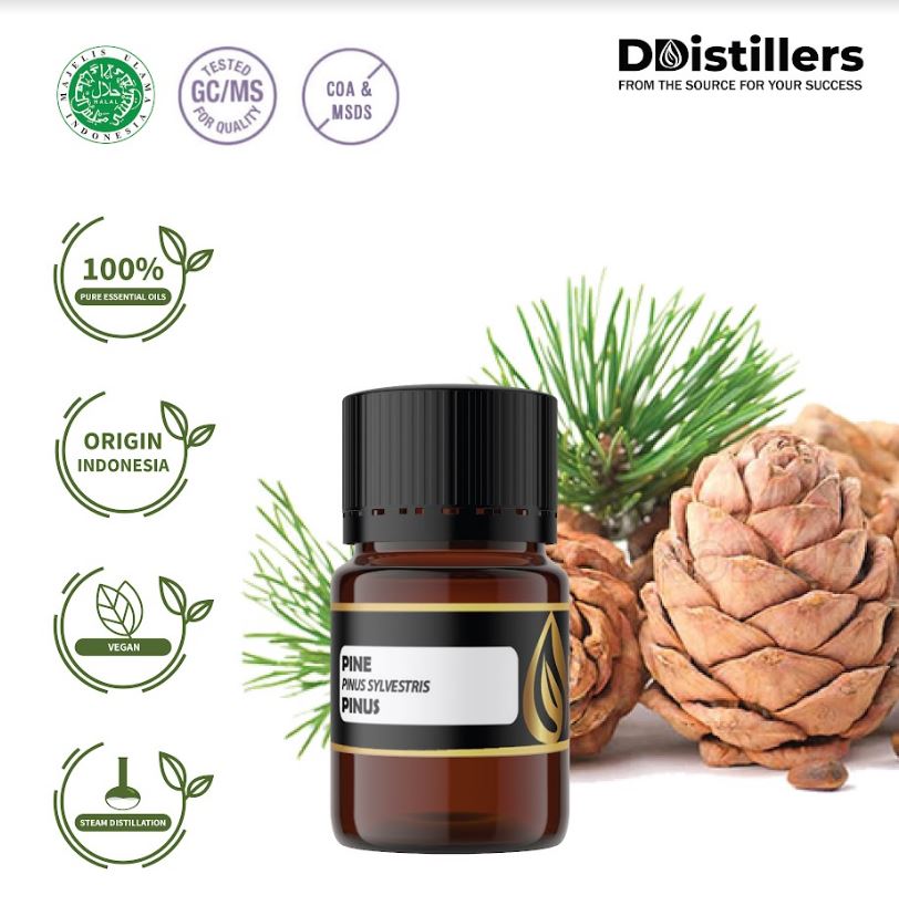 Minyak Atsiri Pinus / Pine Essential Oil 100 % Pure (2 ml)