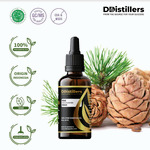 Minyak Atsiri Pinus / Pine Essential Oil 100 % Pure (50 ml)
