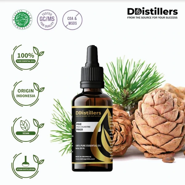 Minyak Atsiri Pinus / Pine Essential Oil 100 % Pure (50 ml)