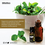 Peppermint / Peppermint Essential Oil 100% Pure (500 ml HDPE)