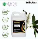 Kayu Putih Sumatera / Cajuput Sumatera Essential Oil 100% Pure (2 L)