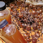 Madu Kelulut Itama