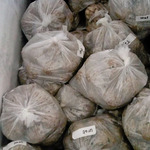 BAKSO SAPI