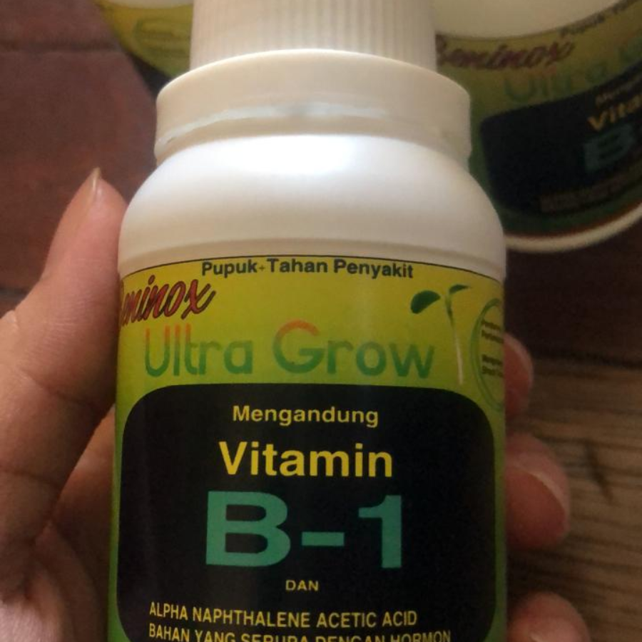 PUPUK VIT B1 VITAMIN - Vitamin B1 Tanaman Tahan Penyakit Beninox 100ml