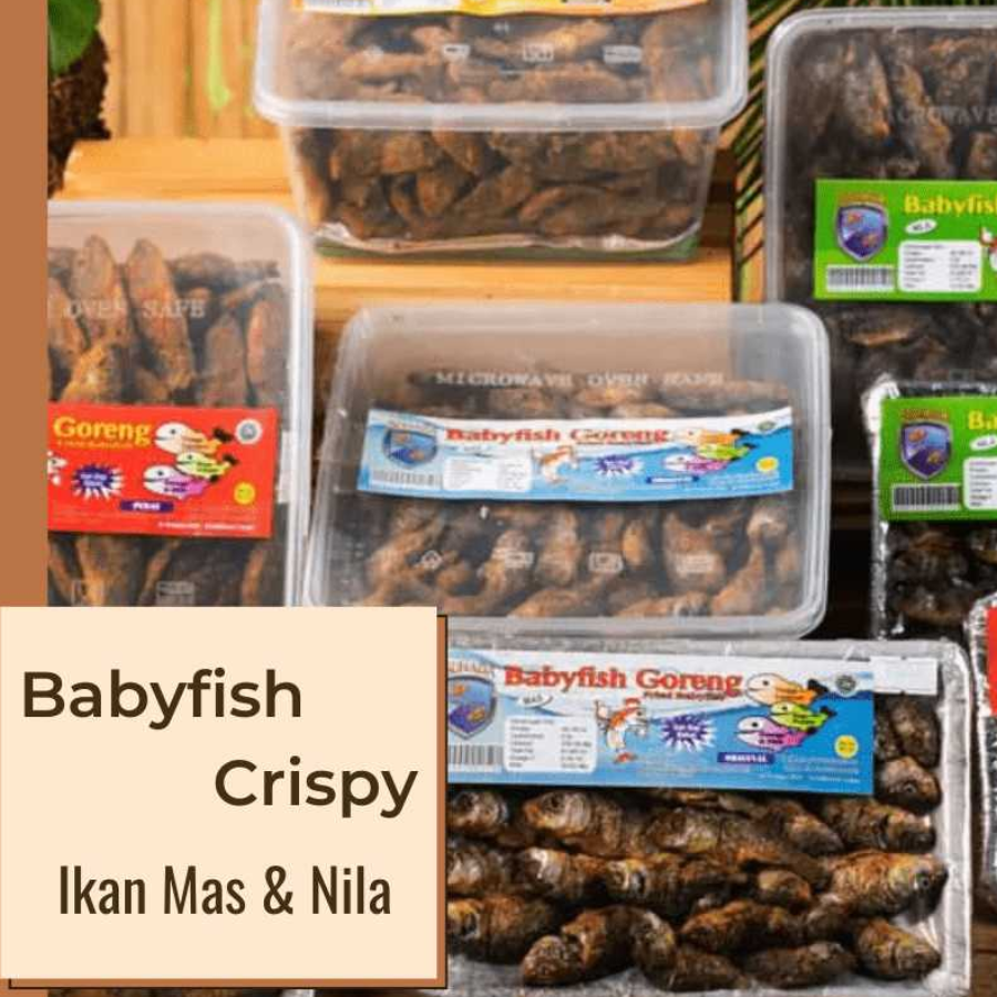 Baby Fish Crispy | Baby Fish Ikan Mas Original Crispy  Enak Bergizi