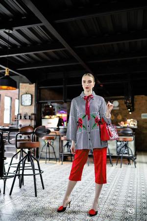 Blouse stripes embroidery