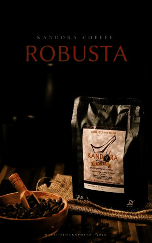 Robusta Premium - Beans 500gr