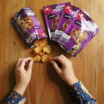 Kripik Terong original