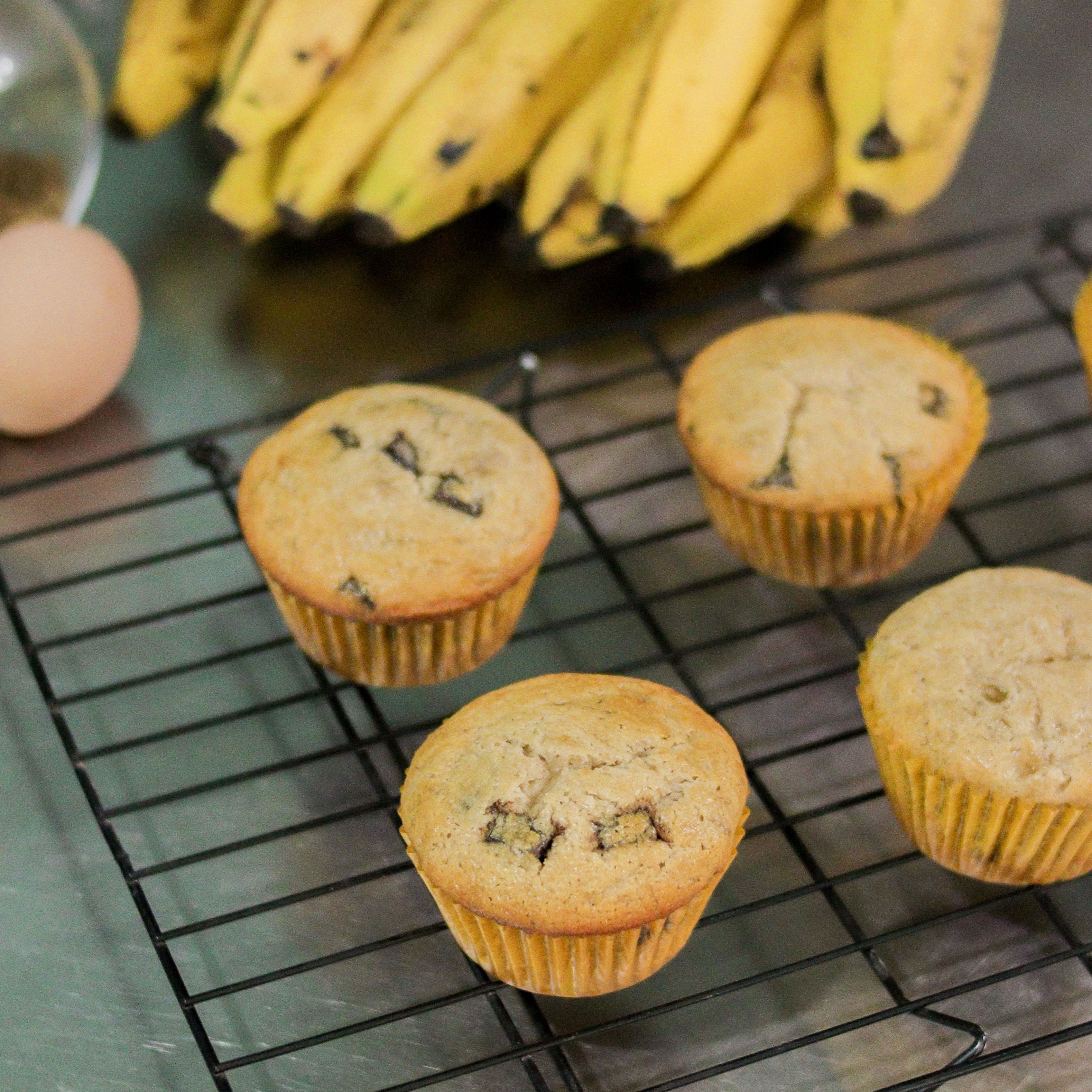 Chocolate Banana Muffins Bebas Gluten Awicarita - boks isi 1/2 lusin