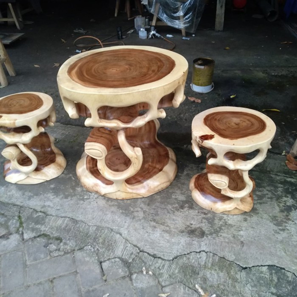 Stool Trembesi Bonsai