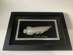 Hiasan Dinding Motif Ikan Arwana Silver Plated