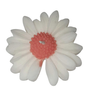 Lilin Aromaterapi Bunga Aster Isi 10 Pcs