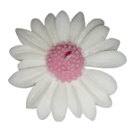 Lilin Aromaterapi Bunga Aster Isi 10 Pcs