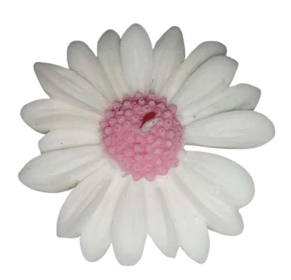 Lilin Aromaterapi Bunga Aster Isi 10 Pcs
