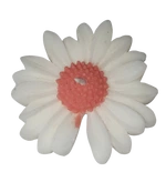 Lilin Aromaterapi Bunga Aster Isi 10 Pcs