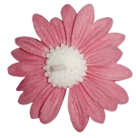 Lilin Aromaterapi Bunga Aster Isi 10 Pcs