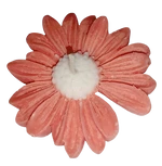Lilin Aromaterapi Bunga Aster Isi 10 Pcs