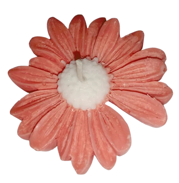 Lilin Aromaterapi Bunga Aster Isi 10 Pcs